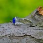 Модный натуральный синий Lapis Lazuli 925 Sterling Silver Регулируемое кольцо
