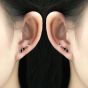 Unique Fading CZ 925 Sterling Silver Climbing Earrings