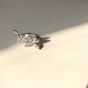 Beautiful CZ Butterfly 925 Sterling Silver Adjustable Ring