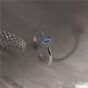 Elegant Oval AB Cubic Zirconia Brads Border 925 Sterling Silver Adjustable Ring
