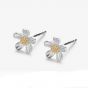 Beautiful Daisy Flowers 999 Sterling Silver Stud Earrings