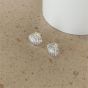 Holiday Ocean Shell Conch 925 Sterling Silver Stud Earrings