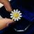 Кольцо Sweet CZ Little Daisy Flower из стерлингового серебра 925 пробы