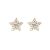 Graduation CZ Stars 925 Sterling Silver Stud Earrings