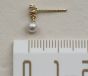 Boucles d'oreilles pendantes en argent sterling Mini Shell Pearl CZ 925